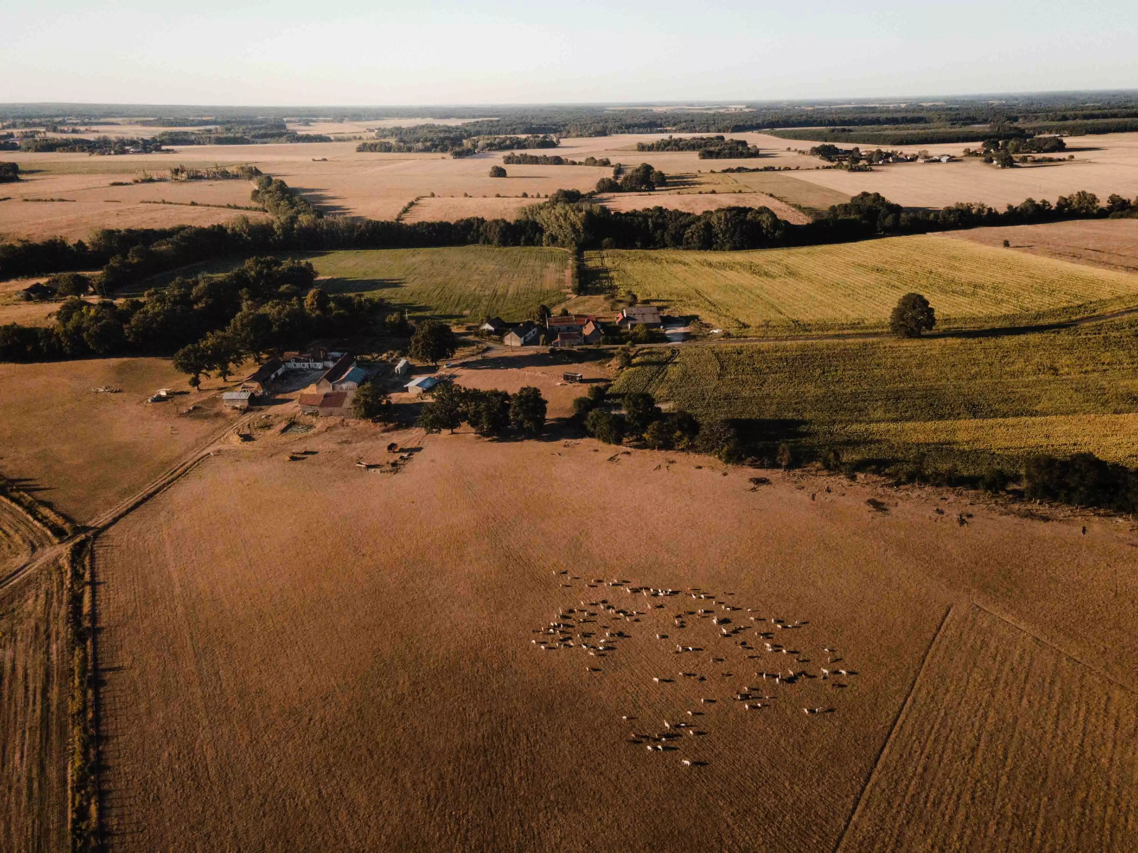 Tiny House - Croq'Epines : sur la route des châteaux de la Loire - 1