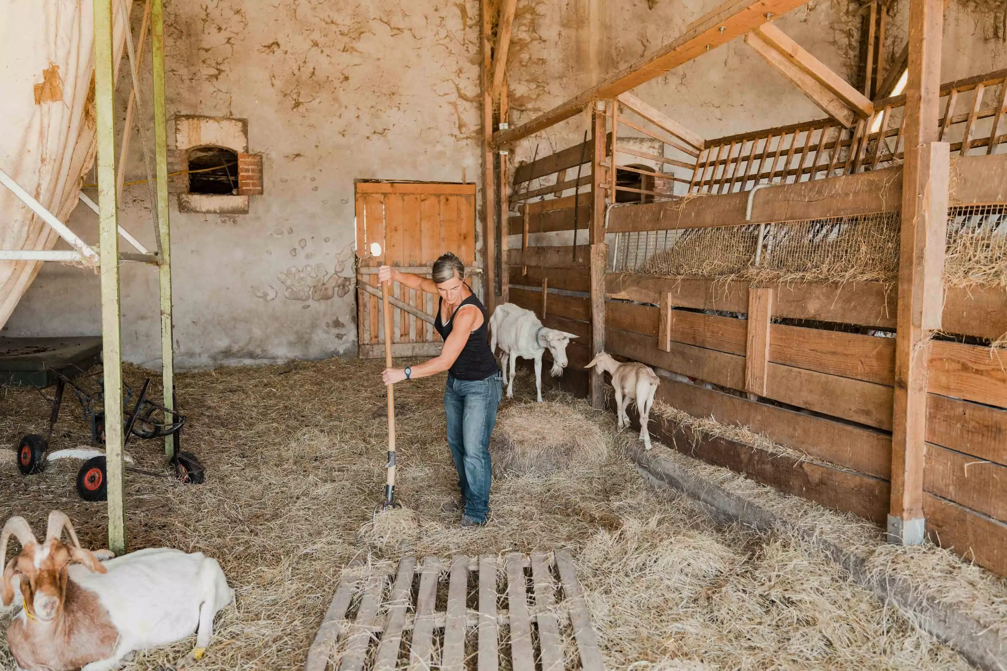 Tiny House - Croq'Epines : sur la route des châteaux de la Loire - 2