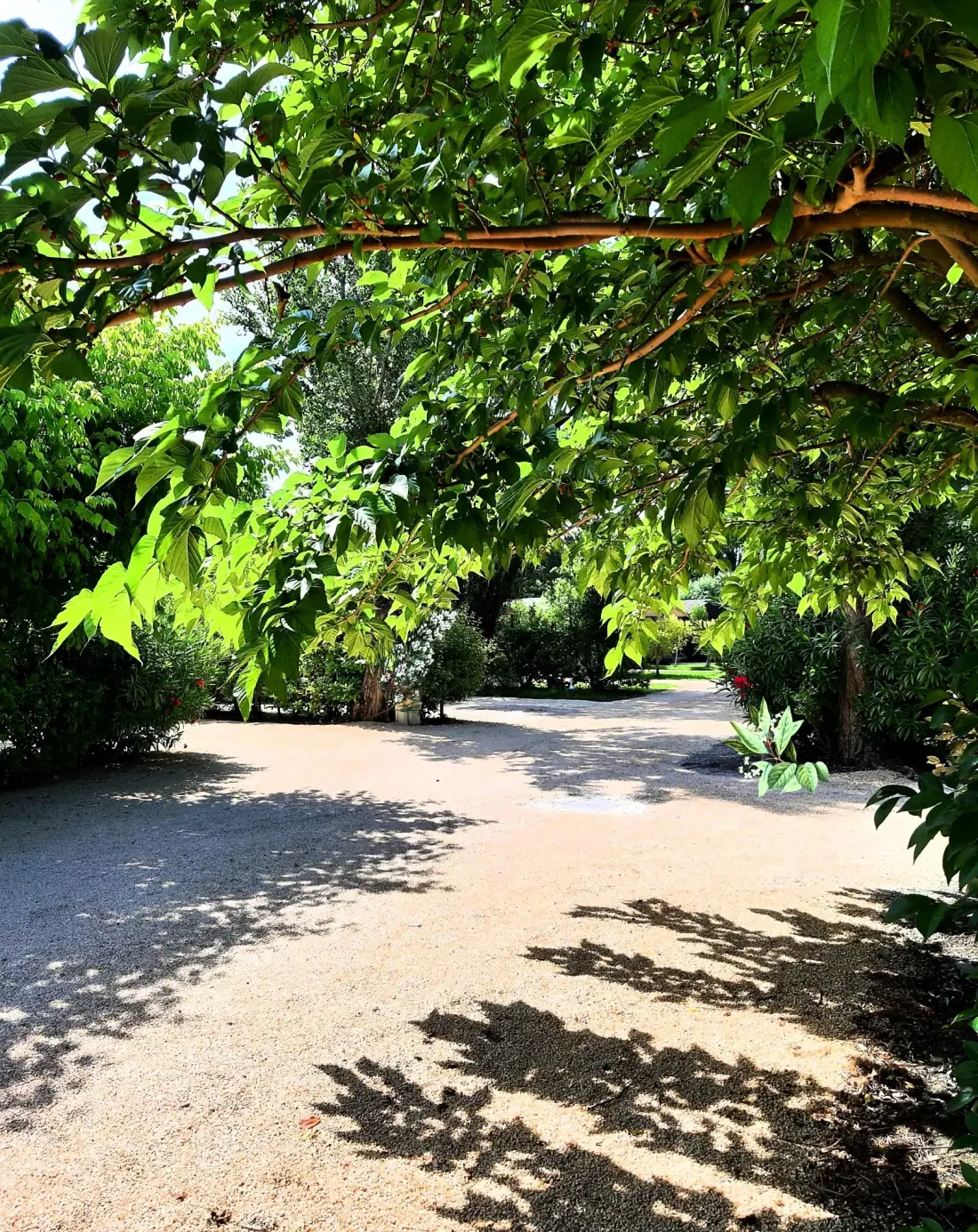 Camping Verbela village 4 étoiles★★★★