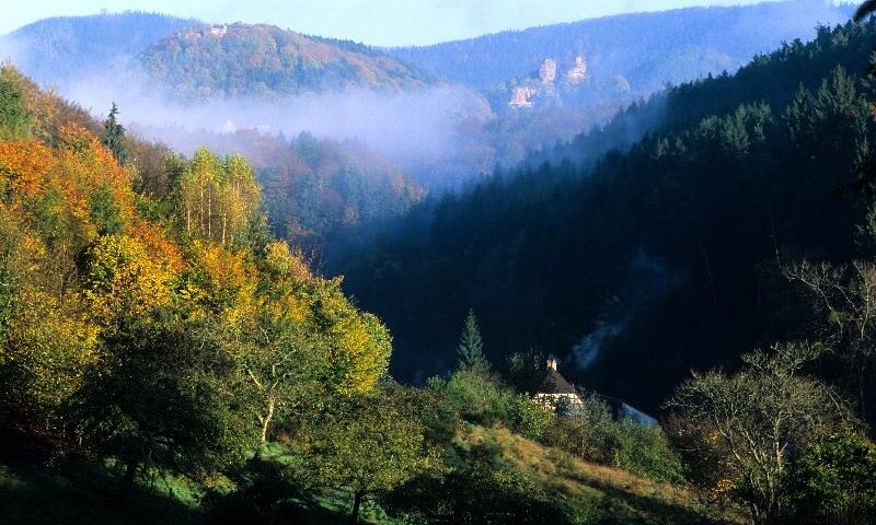 Camping Seasonova Les Vosges du Nord *** - Oberbronn - 28