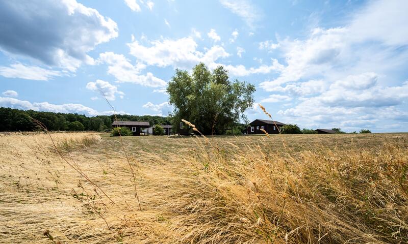 Camping Seasonova Les Vosges du Nord *** - Oberbronn - 10
