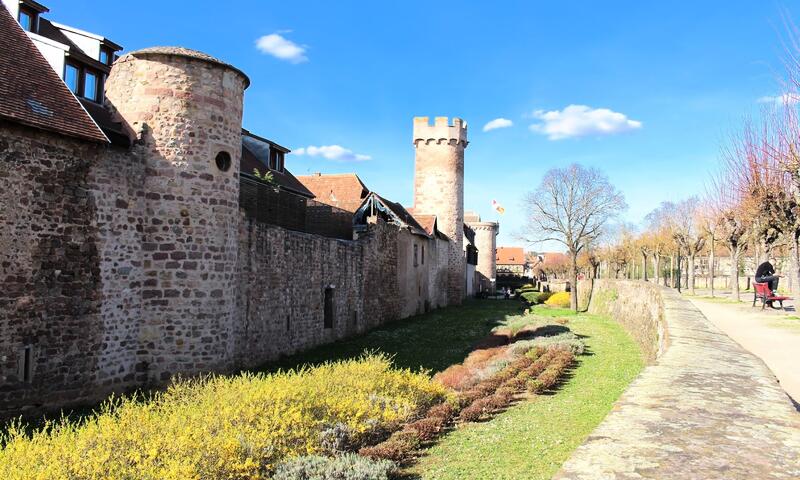 VVF Plaine d'Alsace Obernai Strasbourg *** - Obernai - 12