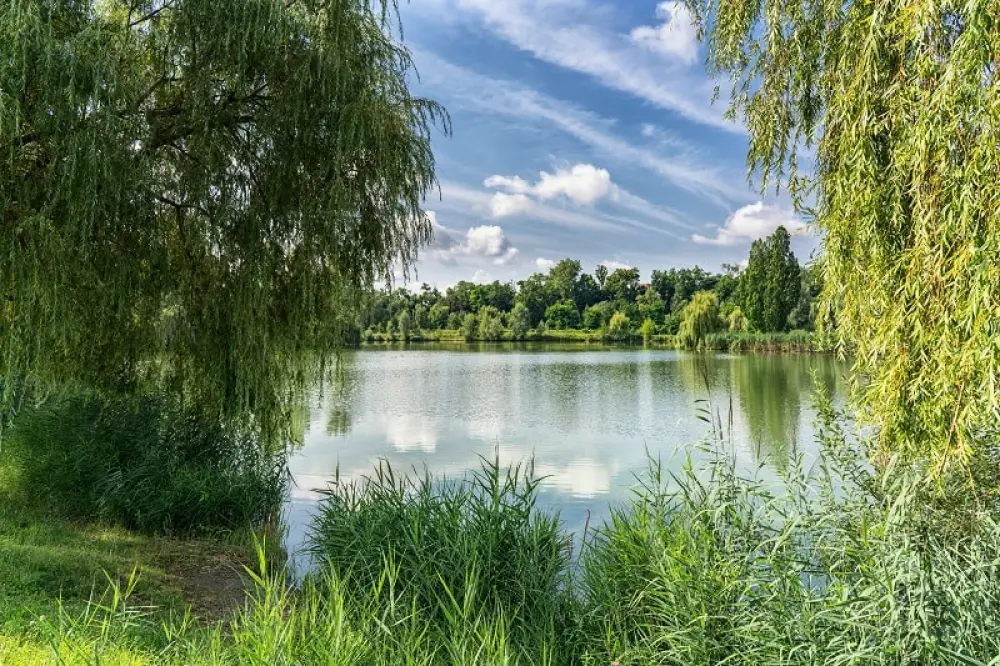 Camping am Hirschfeldsee - Sperrfechter Freizeitpark 3 étoiles★★★