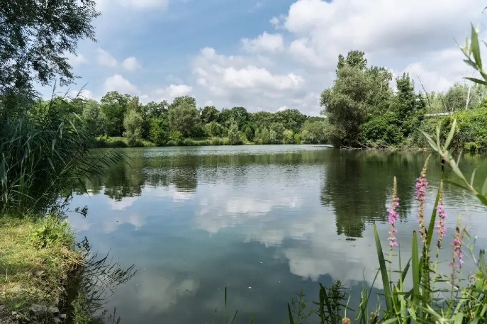 Camping am Hirschfeldsee - Sperrfechter Freizeitpark 3 étoiles★★★