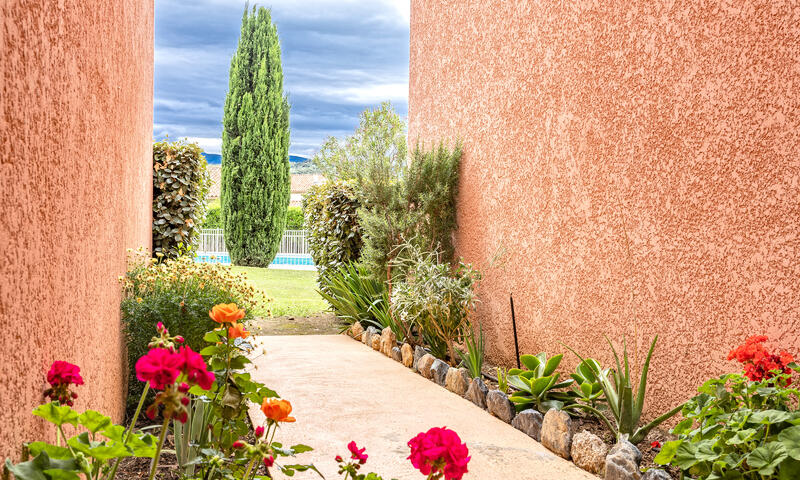 Appartements à Oletta - Corse - - Oletta - Corse - 18