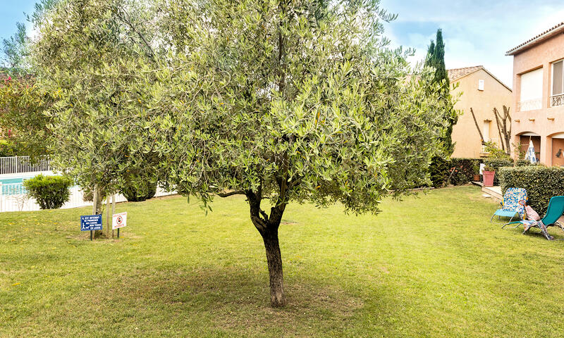 Appartements à Oletta - Corse - - Oletta - Corse - 19