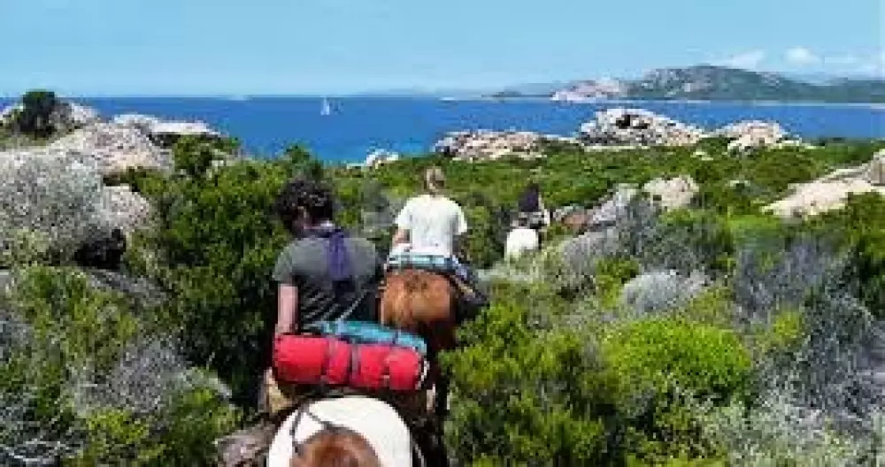 Camping L'Esplanade 4 étoiles★★★★