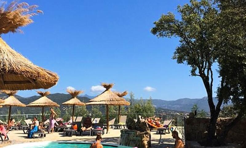 Camping Vigna Maggiore *** - Olmeto Plage - Corse - 17