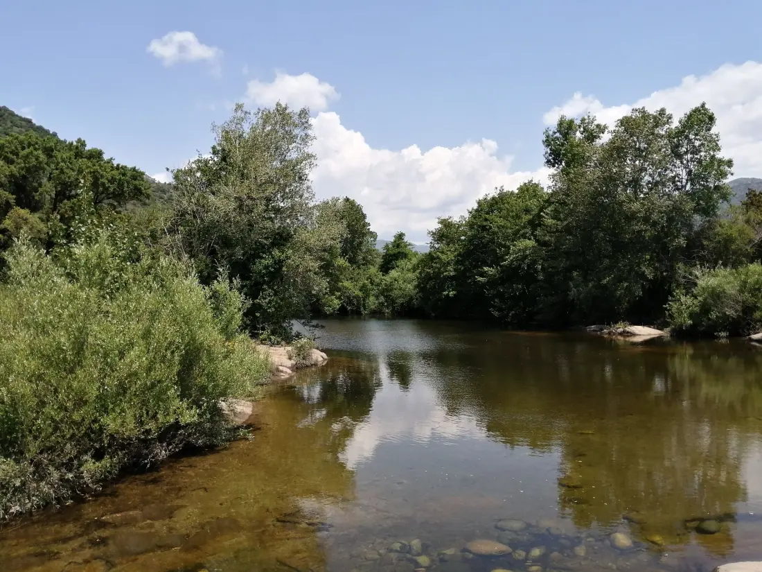 Résidence Corse du Sud 10mn von den Stränden entfernt - Olmeto App 4P