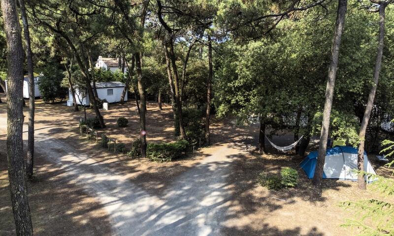 France - Atlantique Nord - Olonne sur Mer - Camping maeva Respire Le Bois de La Gachère 4*