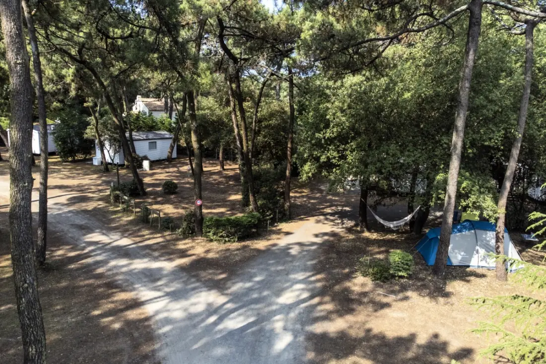 Camping maeva Respire Le Bois de La Gachère 4 étoiles★★★★