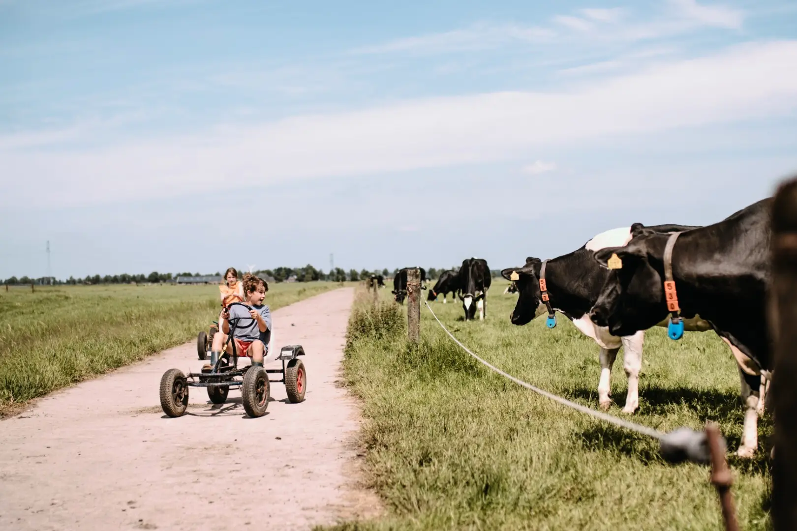 Botterheerd - Oostwold - 1