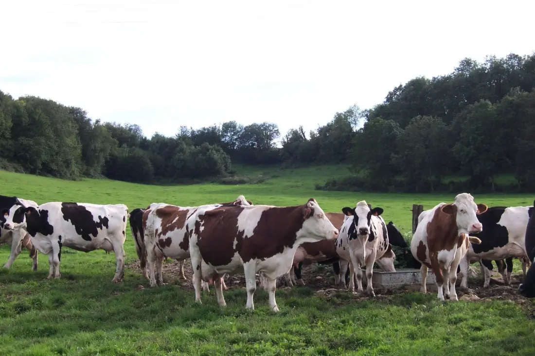 Gîte de France La verte vallée 3 épis