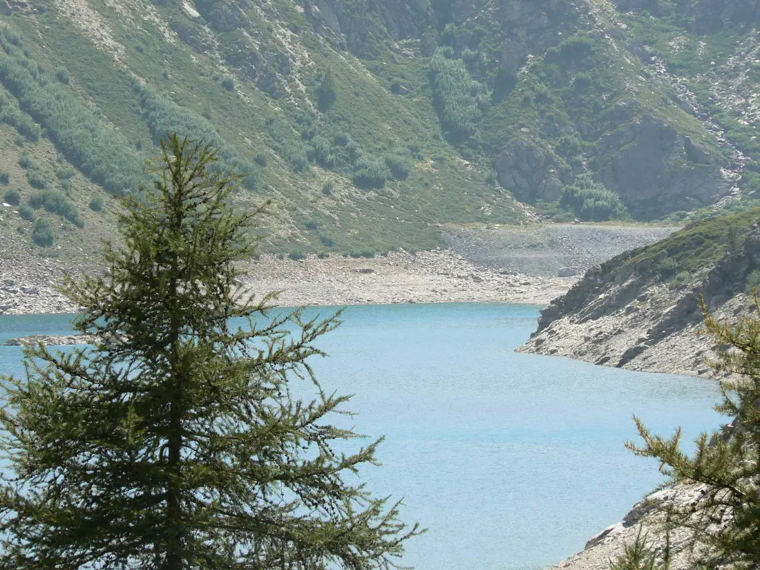 Appartements à Orelle