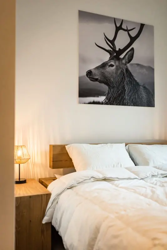 Résidence Le Repère Des Cerfs - Accès Val Thorens