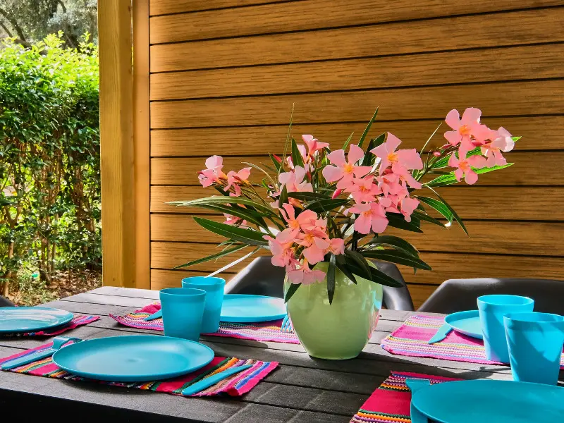 Camping maeva Respire La Vallée Heureuse 4 étoiles★★★★