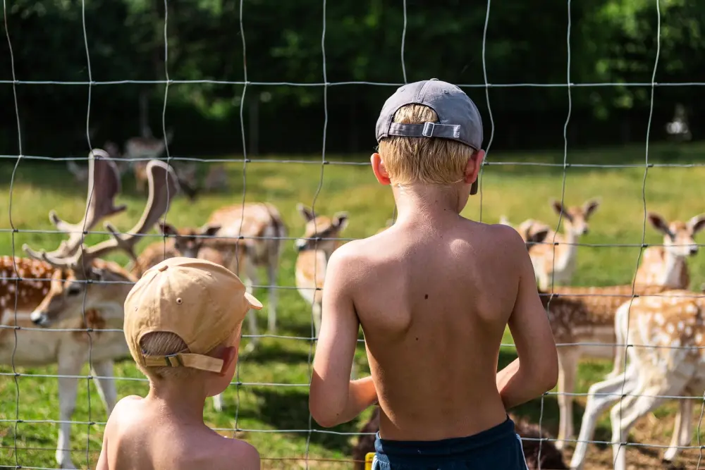 Vestbirk Camping 3 étoiles★★★