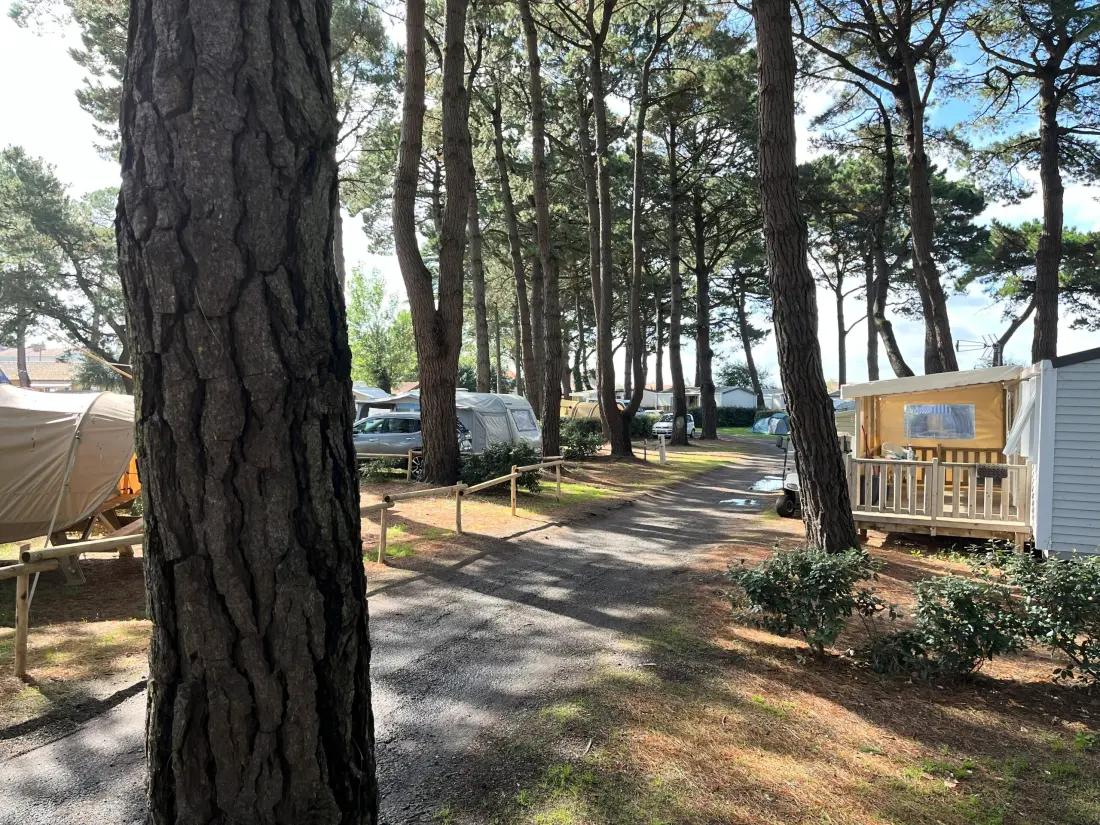 Camping Ushuaïa Villages l'Estuaire 3 étoiles★★★