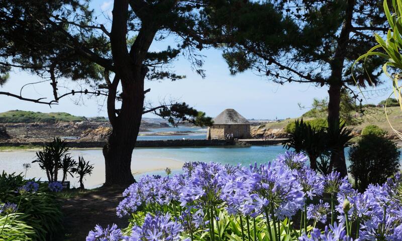 Gîte de France Enez roch 3 épis - - Paimpol - 40