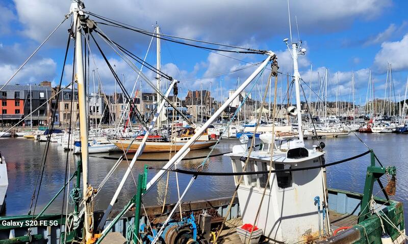 Gîte de France Enez roch 3 épis - - Paimpol - 37