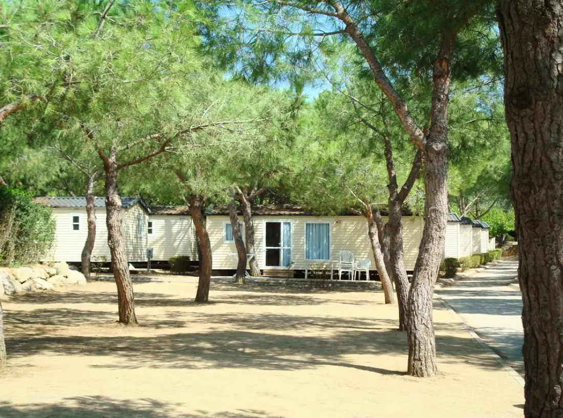 Camping El King's3 étoiles★★★