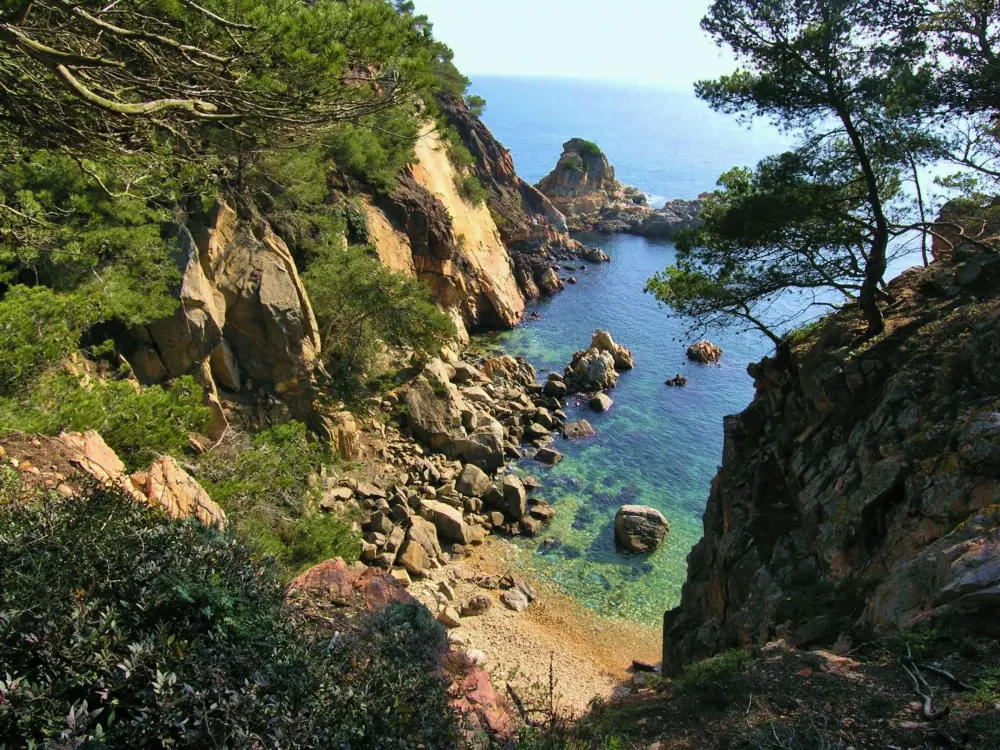 Location de Vacances Palamós 232