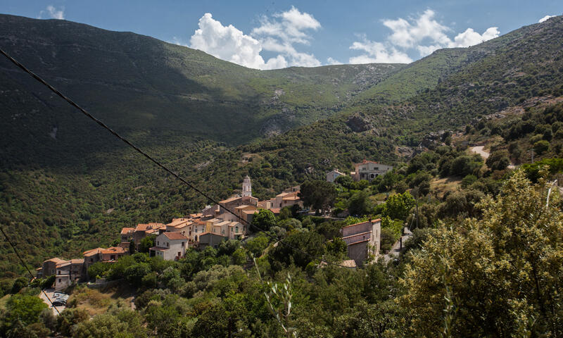 Maison à Palasca - - Palasca - 26
