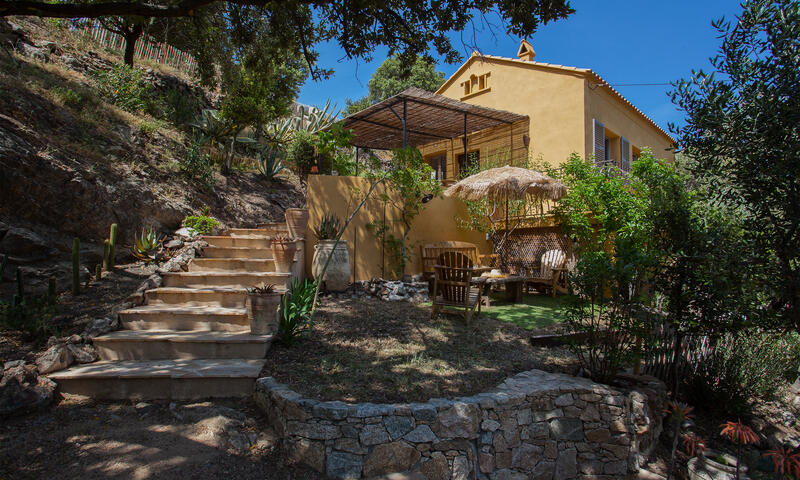Maison à Palasca - - Palasca - 31