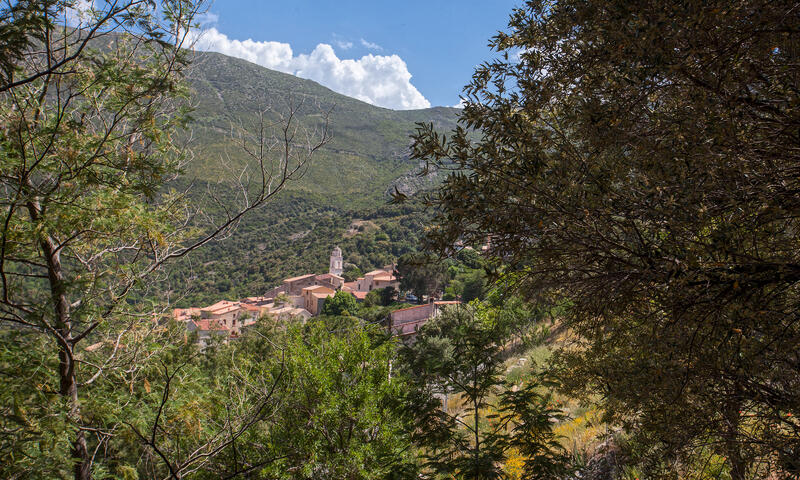 Maison à Palasca - - Palasca - 32