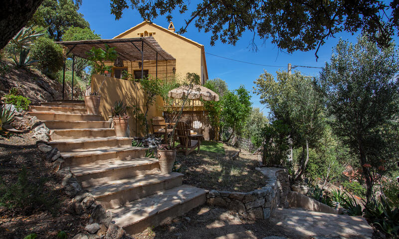 Maison à Palasca - - Palasca - 6