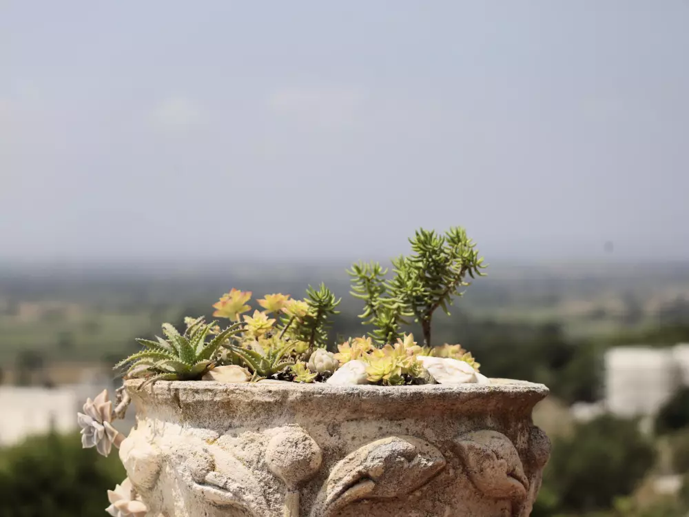 Maison de Vacances Palau-saverdera 5