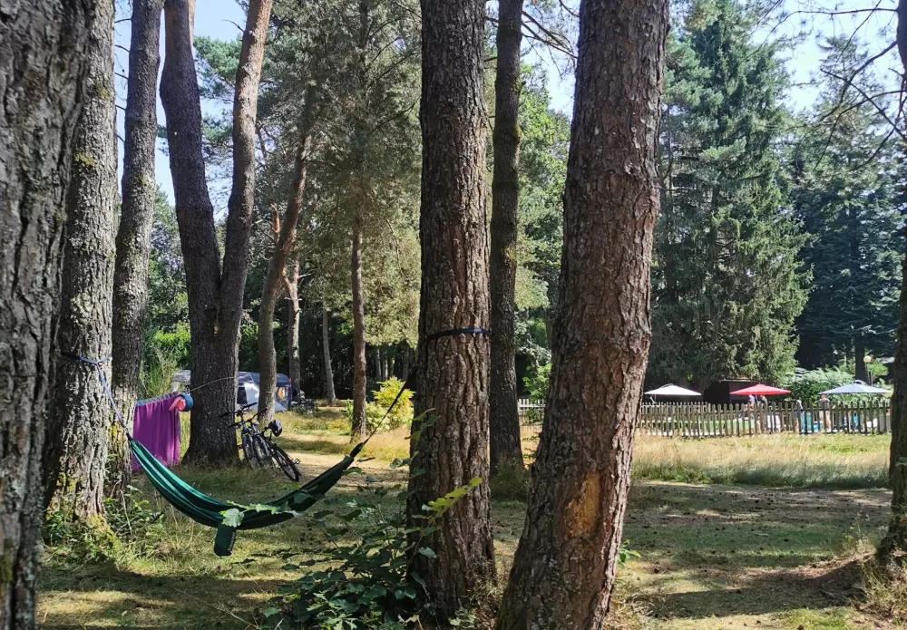 Camping Les Sapins de Correze 3 étoiles★★★