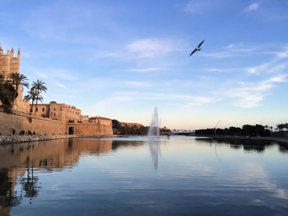 Maison de Vacances Palma 2