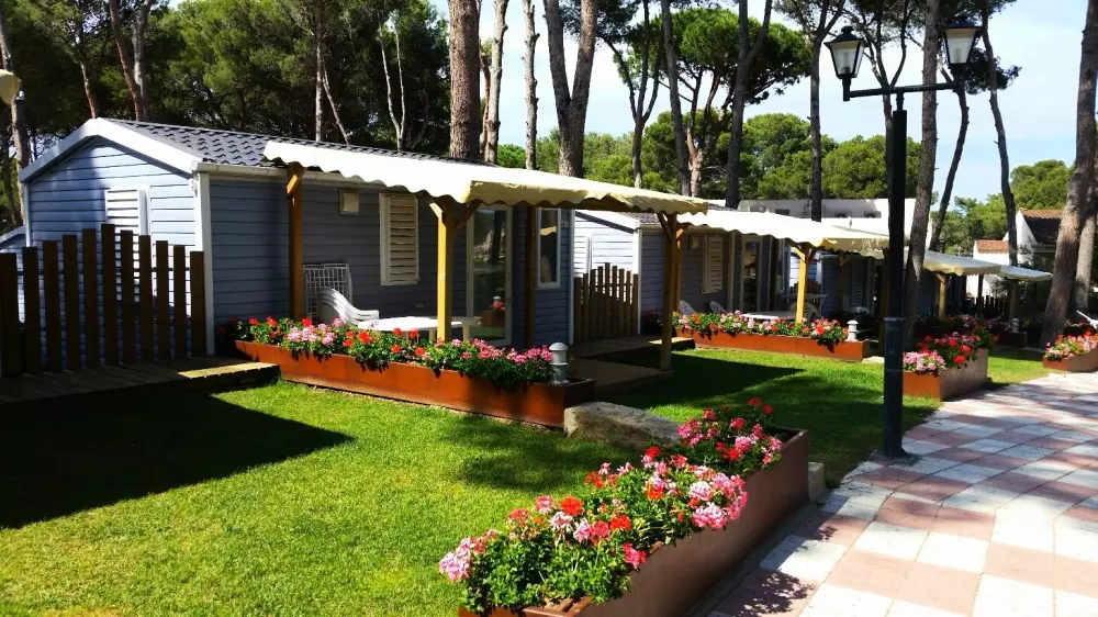 Interpals Eco Resort 4 étoiles★★★★