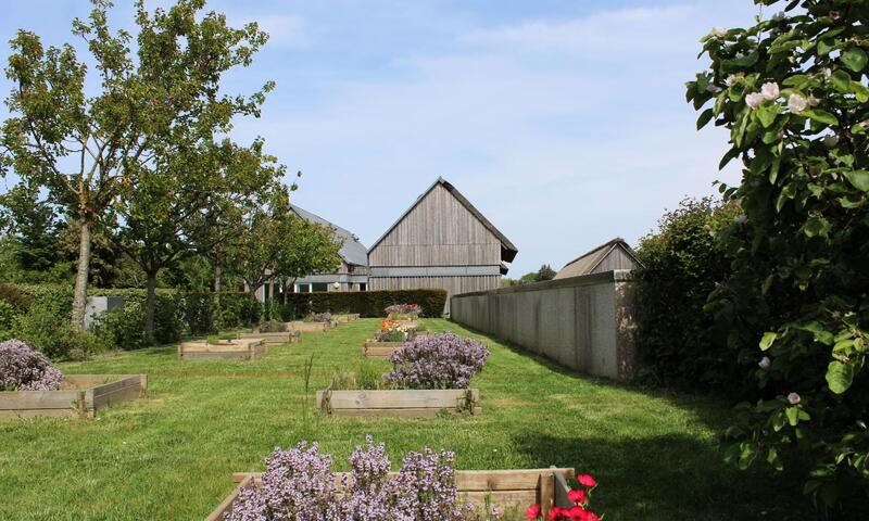 Gîte de France Millet 3 épis - - Paluel - 4