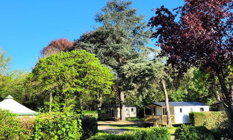 Camping Portes d'Ariège*** - - Pamiers - 12