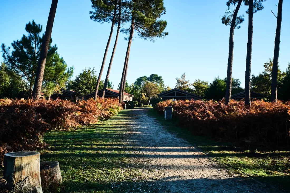 Résidence Les Cottages du Lac 3 étoiles★★★