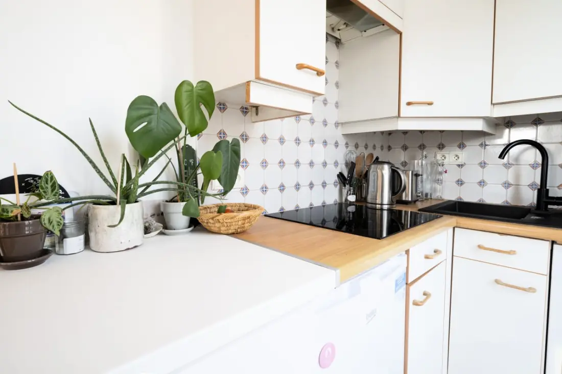 Appartement Candie -