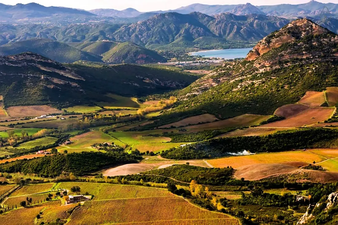 Domaine Ghjulia - Casa Fiumorbu