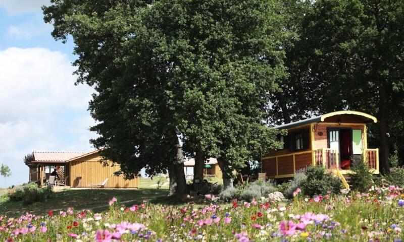 Domaine des Cadets de Gascogne - Pauilhac - 4