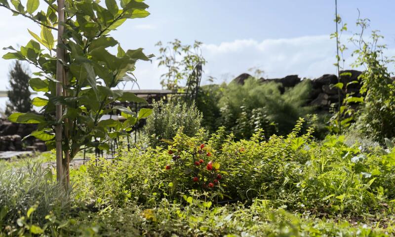 Résidence Quinta Marefe - Sur La Magnifique Côte Ouest - - Paul do Mar - 35