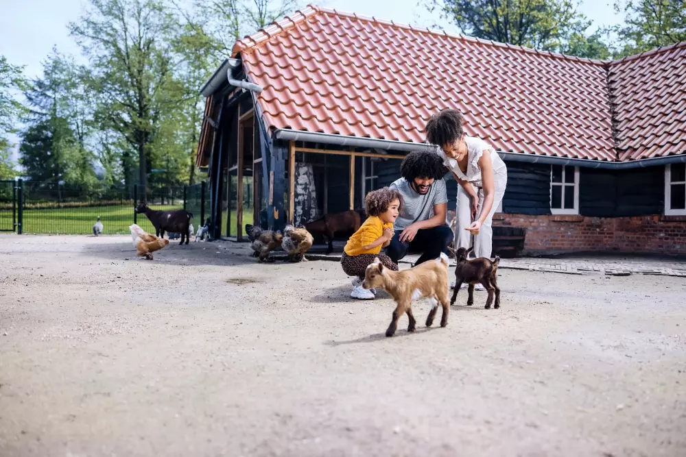 Domaine Erperheide Center Parcs