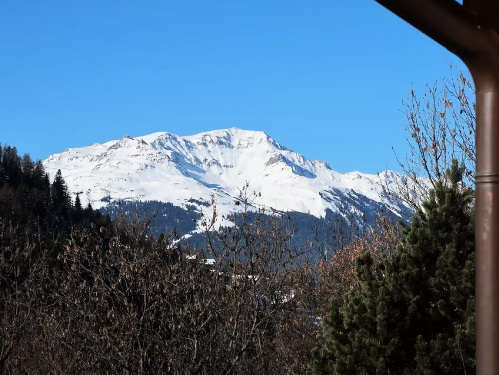 Chalet Portes du Paradis