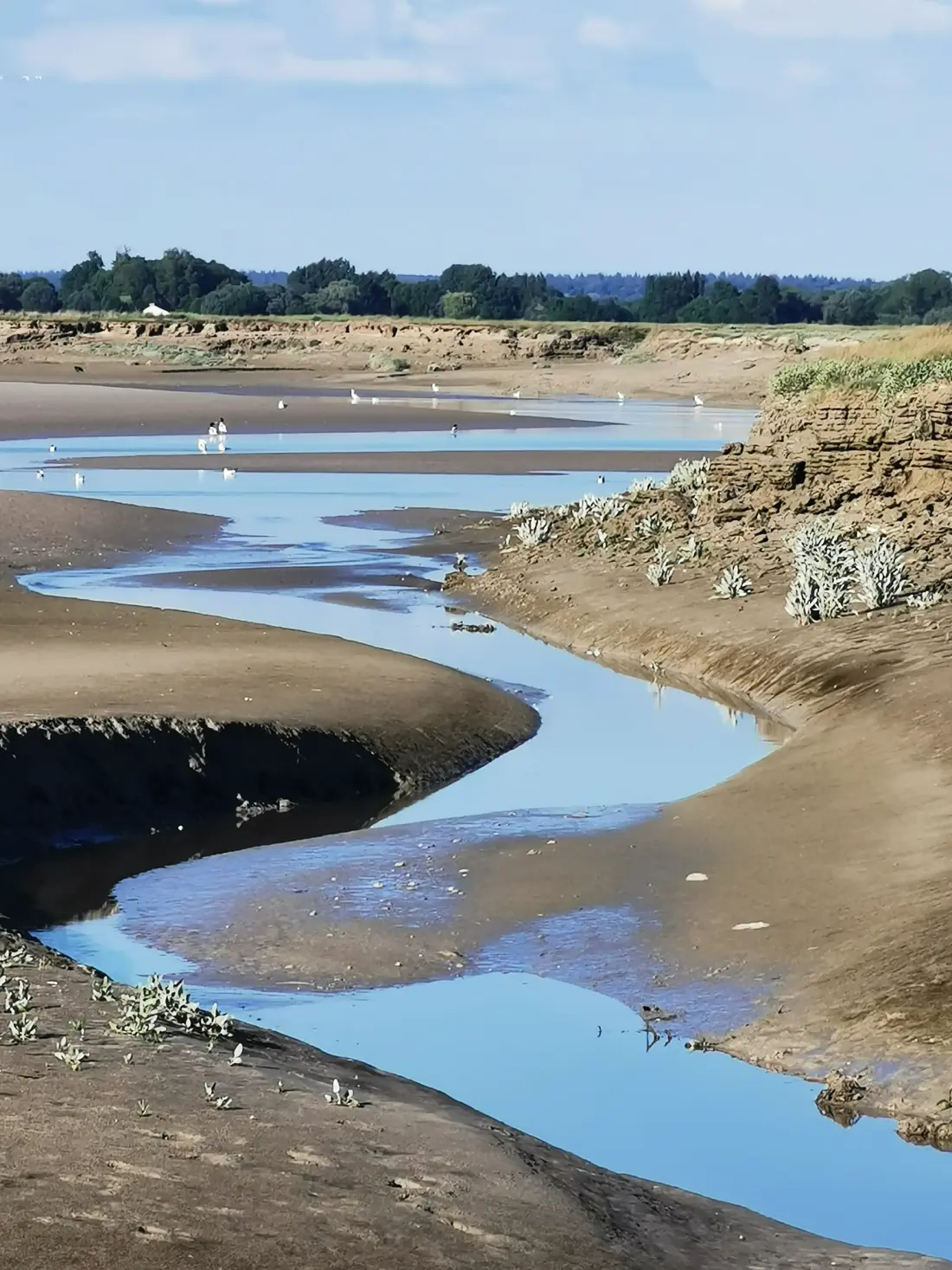 Camping de la Baie          Sites et Paysages - Baie de Somme 3 étoiles★★★
