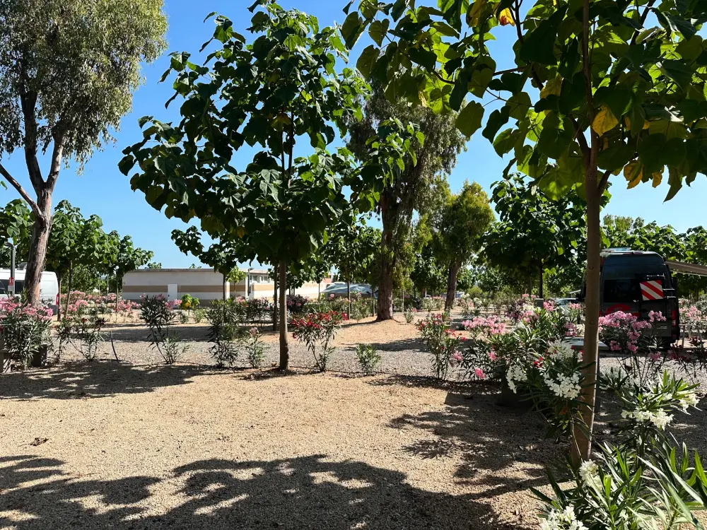 Camping Peñíscola  3 étoiles★★★