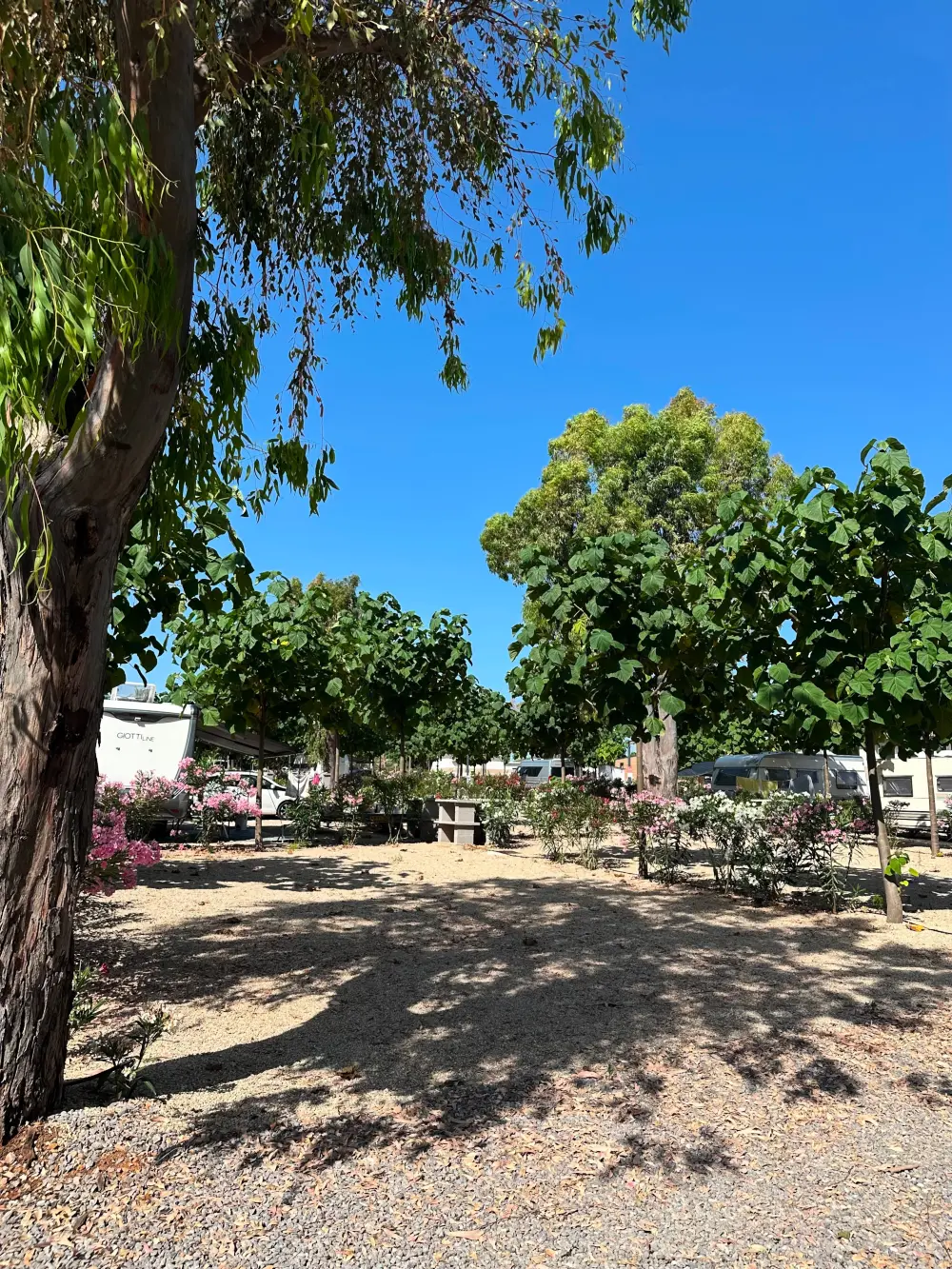 Camping Peñíscola  3 étoiles★★★