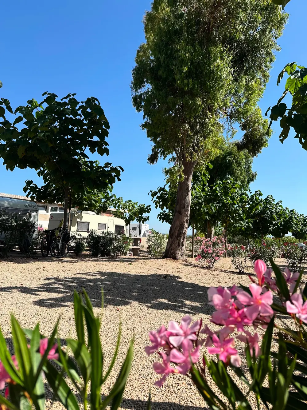 Camping Peñíscola  3 étoiles★★★