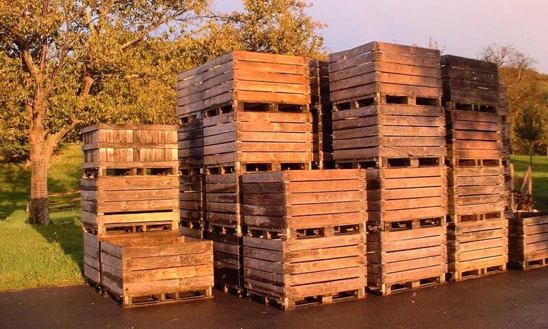 🍎 La Bergeronnette - Domaine D'apreval - Campagne - - Pennedepie - 24