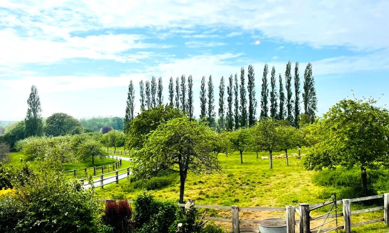 🍎 La Bergeronnette - Domaine D'apreval - Campagne - - Pennedepie - 23