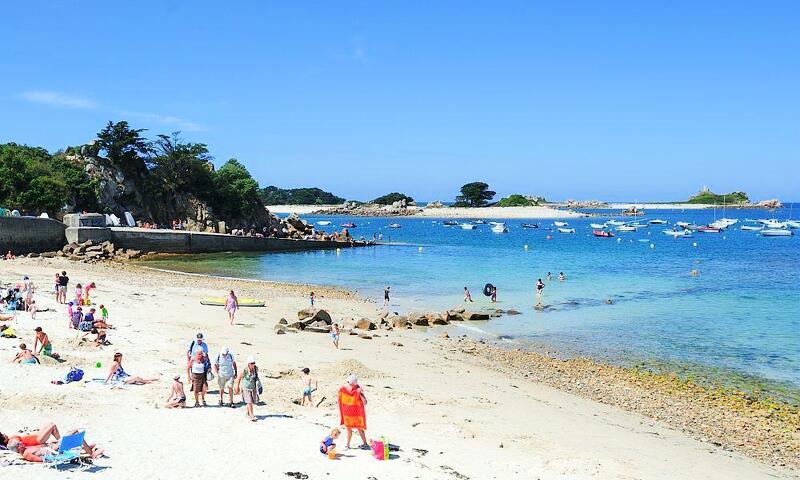 Gîte de France Penty breizh 3 épis - - Penvénan - 24